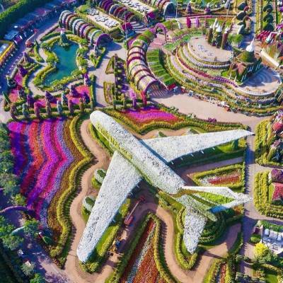 Парк Dubai Miracle Garden - geo-politica.info - Dubai