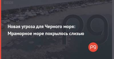 Реджеп Тайип Эрдоган - Новая угроза для Черного моря: Мраморное море покрылось слизью - thepage.ua - Турция - Стамбул - Черное Море