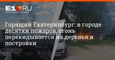Горящий Екатеринбург: в городе десятки пожаров, огонь перекидывается на деревья и постройки - e1.ru - Екатеринбург - Свердловская обл.