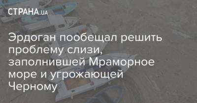Реджеп Тайип Эрдоган - Эрдоган пообещал решить проблему слизи, заполнившей Мраморное море и угрожающей Черному - strana.ua - Турция - Греция - Стамбул - Черное Море