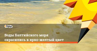 Воды Балтийского моря окрасились в ярко-желтый цвет - ridus.ru - Калининград