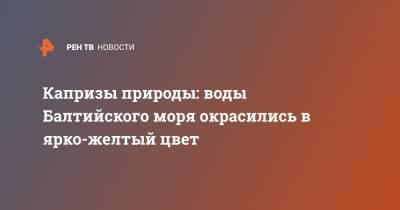 Капризы природы: воды Балтийского моря окрасились в ярко-желтый цвет - ren.tv - Калининградская обл. - Балтийское Море
