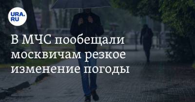 В МЧС пообещали москвичам резкое изменение погоды - ura.news - Москва - Московская обл.