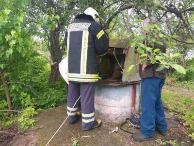 Черкасская пенсионерка насмотрелась новостей - и прыгнула в колодец - lenta.ua