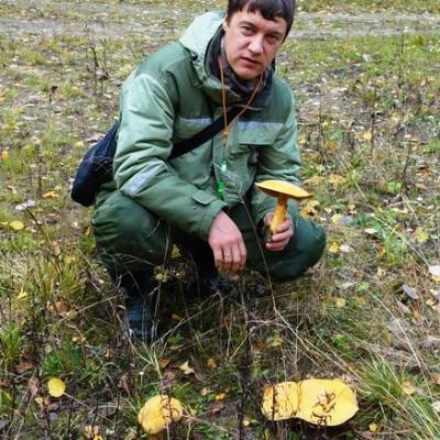 Дмитрий Кириллов - Грибной сезон-2021 удивил ученых - komiinform.ru - Сыктывкар - район Троицко-Печорский