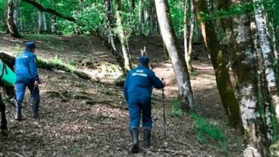 В Абхазии ищут россиянку, упавшую в горную реку на прогулке - vesti.ru - Сочи - Апсны