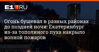 Огонь бушевал в разных районах до поздней ночи: Екатеринбург из-за тополиного пуха накрыло волной пожаров - e1.ru - Екатеринбург