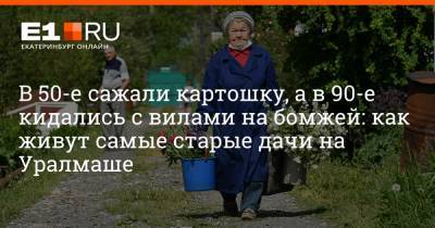 Артем Устюжанин - В 50-е сажали картошку, а в 90-е кидались с вилами на бомжей: как живут самые старые дачи на Уралмаше - e1.ru - Екатеринбург