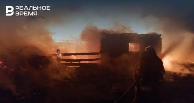 В ночном пожаре в Татарстане погибла женщина, двое пострадавших в реанимации - realnoevremya.ru - респ. Татарстан