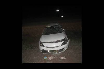 Пьяный водитель из Башкирии едва не погубил свою пассажирку - ufa.mk.ru - Башкирия - район Зианчуринский