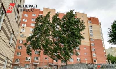 Ураган повредил несколько школьных крыш в Новосибирской области - fedpress.ru - Новосибирск - Новосибирская обл. - Омская обл.