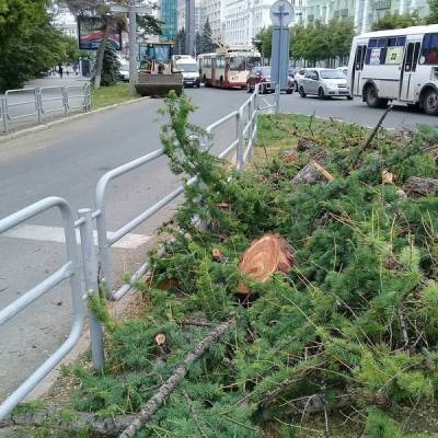 Наталья Котова - Глава Челябинска распорядилась уволить двух руководителей за снос даурской лиственницы - znak.com - Челябинск