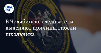 В Челябинске следователи выясняют причины гибели школьника - ura.news - Челябинск