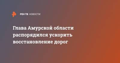 Василий Орлов - Глава Амурской области распорядился ускорить восстановление дорог - ren.tv - Амурская обл.