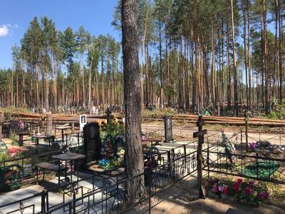 На тюменском кладбище начали валить лес — чтобы деревья не упали на могилы - znak.com - Тюмень