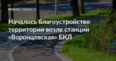 Петр Бирюков - Началось благоустройство территории возле станции «Воронцовская» БКЛ - mos.ru - Москва - Благоустройство