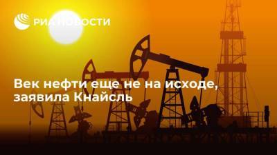 Карин Кнайсль - Век нефти еще не на исходе, заявила Кнайсль - smartmoney.one - Австрия - Рим