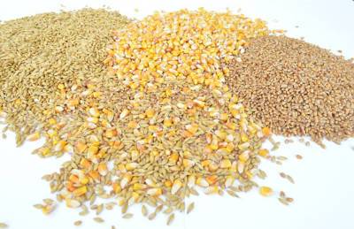 На экспорт ушло 42,5 млн т зерна из Украины - agroportal.ua