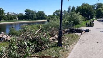 Сергей Воропанов - В Вологде провели генеральную уборку реки - vologda-poisk.ru - Вологда