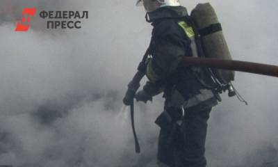 На Урале МЧС предупреждает поджигателей пуха об уголовном наказании - fedpress.ru - Екатеринбург