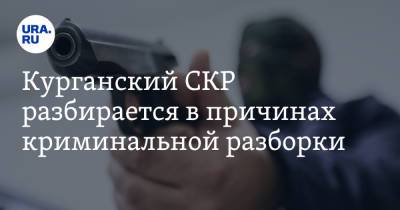 Курганский СКР разбирается в причинах криминальной разборки - ura.news - Курганская обл. - Шадринск