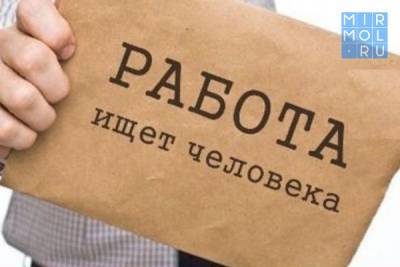 В Дагестане самые требовательные к грамотности сотрудников работодатели - mirmol.ru - респ. Дагестан - респ. Чечня - Ставрополье