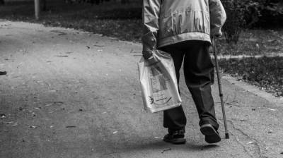 В Воронеже автомобиль насмерть сбил пенсионера - vestivrn.ru - Воронеж - Воронежская обл.