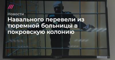 Василий Полонский - Навального перевели из тюремной больницы в покровскую колонию - tvrain.ru