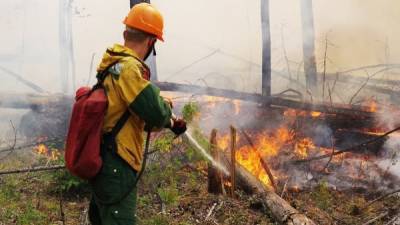 В Югре возобновились природные пожары - nakanune.ru - Югра