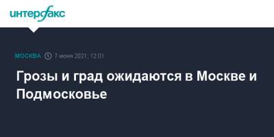 Грозы и град ожидаются в Москве и Подмосковье - interfax.ru - Москва - Московская обл.