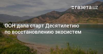 ООН дала старт Десятилетию по восстановлению экосистем - gazeta.uz - Узбекистан
