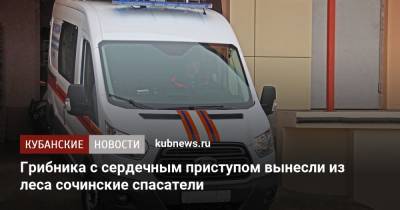 Грибника с сердечным приступом вынесли из леса сочинские спасатели - kubnews.ru - Сочи - Краснодарский край