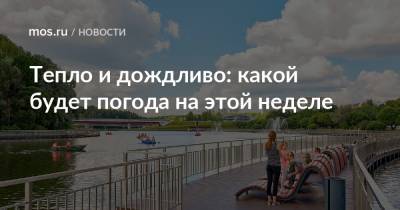 Тепло и дождливо: какой будет погода на этой неделе - mos.ru - Москва