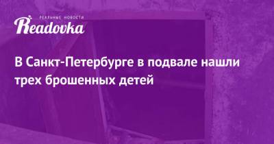 В Санкт-Петербурге в подвале нашли трех брошенных детей - readovka.news - Санкт-Петербург - Воронежская обл. - Самара