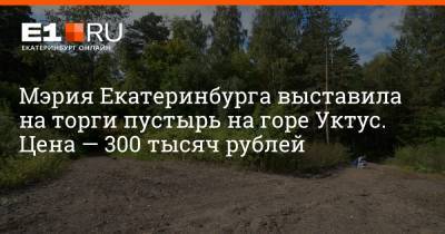 Артем Устюжанин - Мэрия Екатеринбурга выставила на торги пустырь на горе Уктус. Цена — 300 тысяч рублей - e1.ru - Екатеринбург