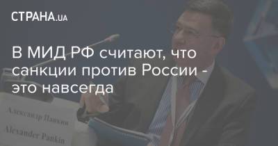 Александр Панкин - В МИД РФ считают, что санкции против России - это навсегда - strana.ua - США