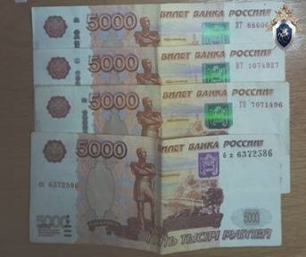 Арзамасский предприниматель наказан за попытку подкупить полицейского - vgoroden.ru - Нижегородская обл.