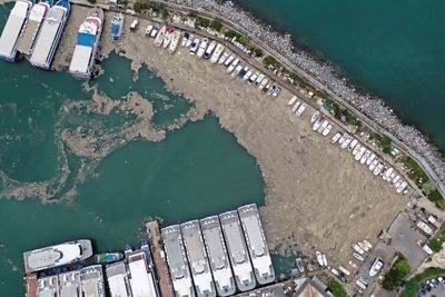 Реджеп Тайип Эрдоган - Реджеп Эрдоган - Слизь из водорослей покрыла морское побережье в Турции и угрожает экологии Черного моря - unn.com.ua - Киев - Турция - Стамбул - Черное Море - Экология
