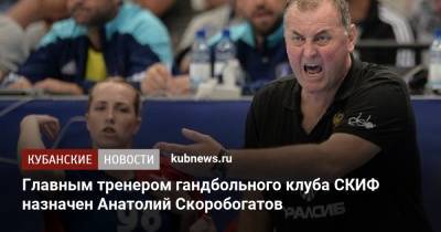Главным тренером гандбольного клуба СКИФ назначен Анатолий Скоробогатов - kubnews.ru - Краснодарский край - Краснодар