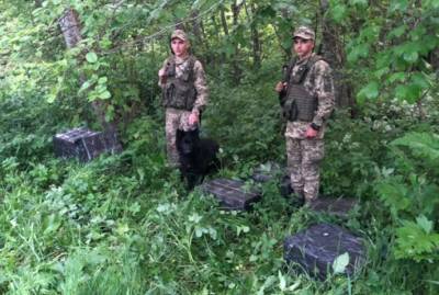 На Буковине пограничники перекрыли масштабную контрабанду сигарет - lenta.ua