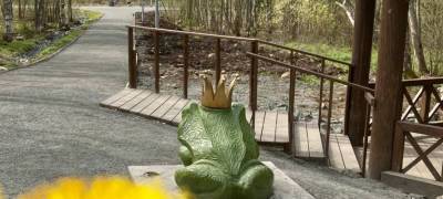 Жители Петрозаводска боятся, что по Тропе Ивана-Царевича проложат автотрассу - stolicaonego.ru - Петрозаводск