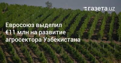 Евросоюз выделил €11 млн на развитие агросектора Узбекистана - gazeta.uz - Узбекистан