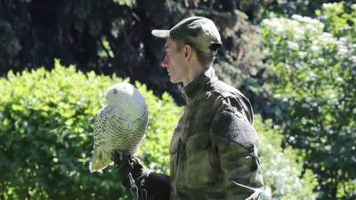 В ФСО новый сотрудник: Кремль от ворон будет охранять сова Буран - vesti.ru