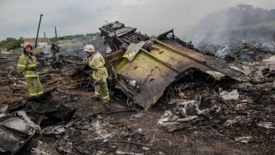 Хендрик Стинхейс - Суд в Гааге начались слушания дела о крушении Boeing MH17 - news-front.info - Украина - Голландия - Амстердам - Гаага