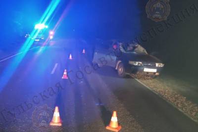 По дороге в Белев 29-летняя автомобилистка сбила лося - tula.mk.ru - Тула - Тульская обл. - район Дубенский