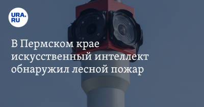 В Пермском крае искусственный интеллект обнаружил лесной пожар - ura.news - Пермский край