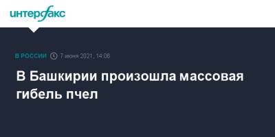 В Башкирии произошла массовая гибель пчел - interfax.ru - Москва - Башкирия
