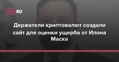 Илон Маск - Держатели криптовалют создали сайт для оценки ущерба от Илона Маска - rb.ru