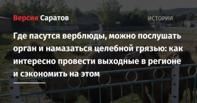 Где пасутся верблюды, можно послушать орган и намазаться целебной грязью: как интересно провести выходные в регионе и сэкономить на этом - nversia.ru - Саратовская обл. - Хвалынск