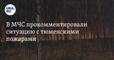 В МЧС прокомментировали ситуацию с тюменскими пожарами - ura.news - Красноярский край - Иркутская обл. - Тюменская обл. - респ. Саха